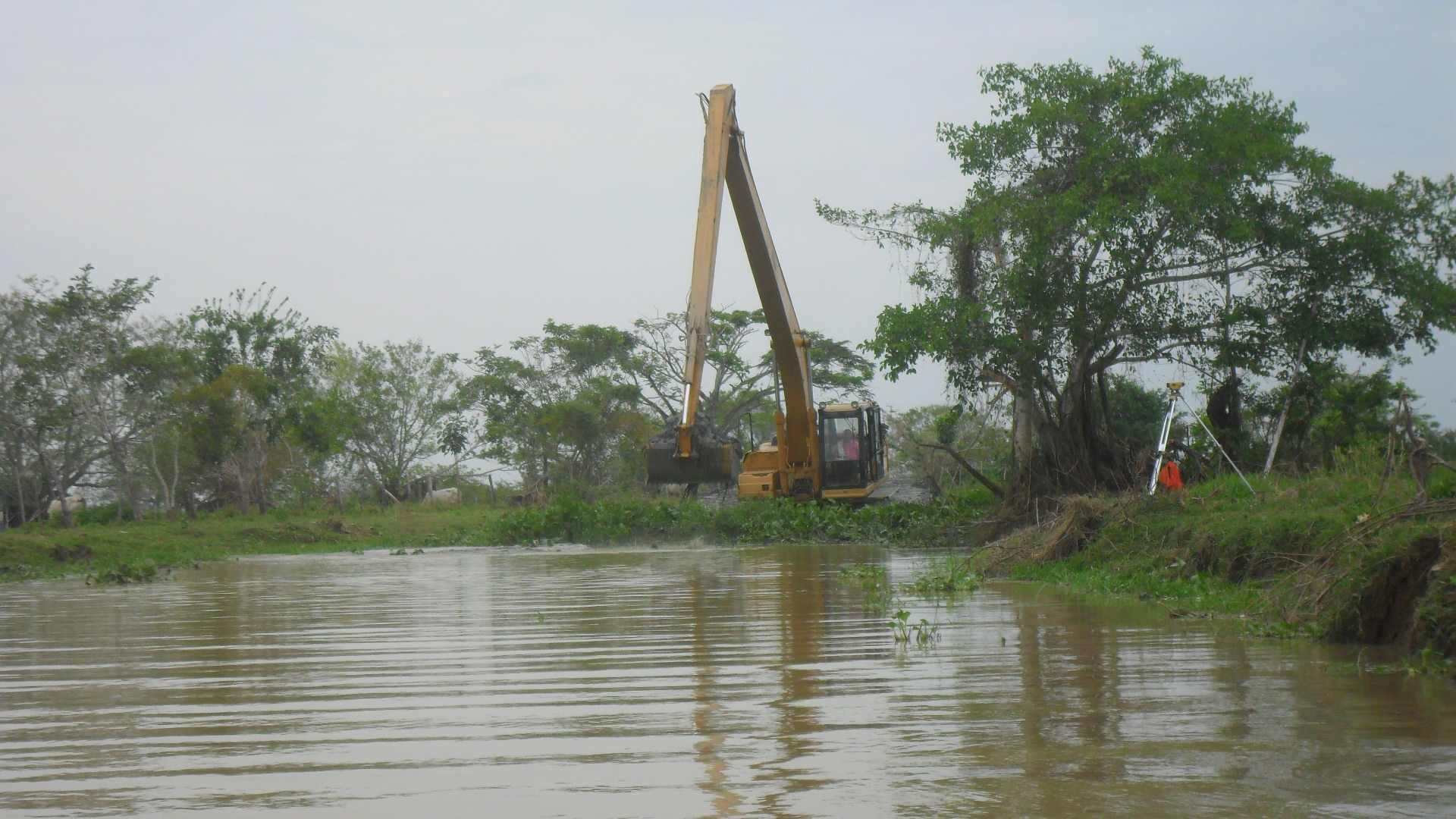 Rehabilitación ambiental Arroyo Grande de Corozal 1